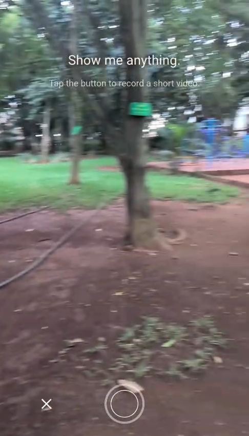 Camera view of trees with the prompt Show me anything and the line tap the button to record a short video, above a hand-drawn shutter ring.