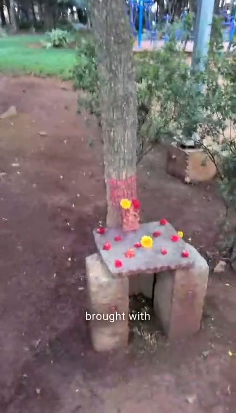 A clip in the reel showing a stone shrine with flowers under a tree, labelled brought with.